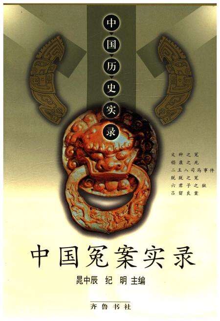 《中国历史实录.中国冤案实录》.pdf电子版_其他志缩略图