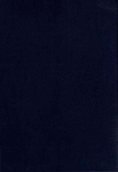 《中国金融文库 第五分册》.pdf电子版_其他志预览图4