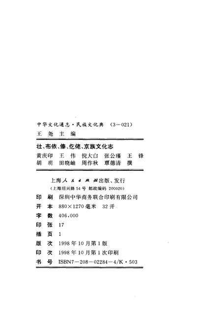 《中华文化通志 第3典 民族文化 壮、布依、泰、仡佬、京族文化志》.pdf电子版_其他志预览图2