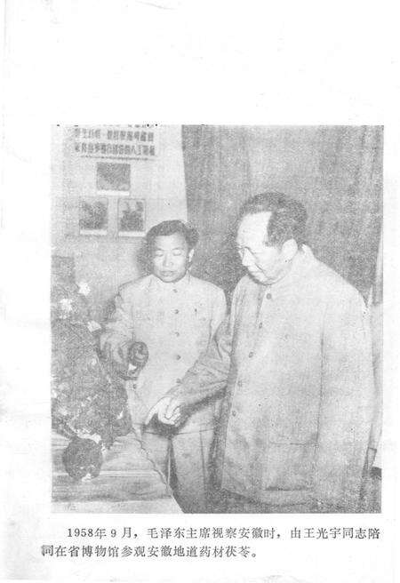 《中国中药大事记 1949-1983》.pdf电子版_其他志预览图2