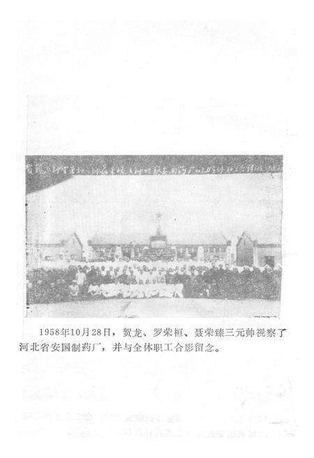 《中国中药大事记 1949-1983》.pdf电子版_其他志预览图3