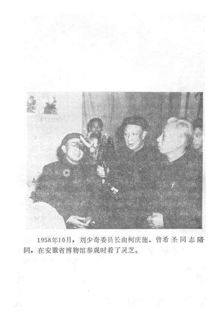 《中国中药大事记 1949-1983》.pdf电子版_其他志预览图4