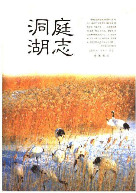 《洞庭湖志》.pdf电子版_其他志缩略图