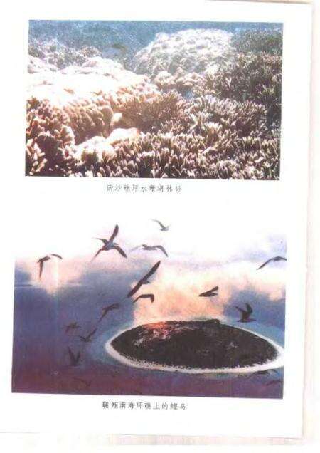 《岭南海洋国土》.pdf电子版_其他志预览图4