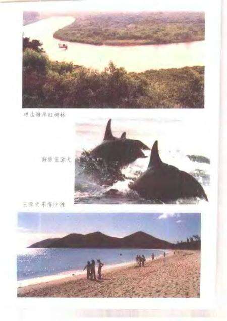 《岭南海洋国土》.pdf电子版_其他志预览图5