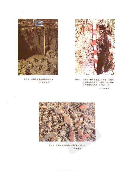 《中国盐渍土》.pdf电子版_其他志预览图3