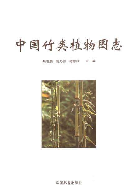 《中国竹类植物图志》.pdf电子版_其他志预览图2
