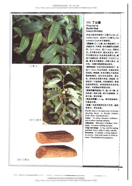 《中华人民共和国药典中药彩色图集_部分1》.pdf电子版_其他志预览图5