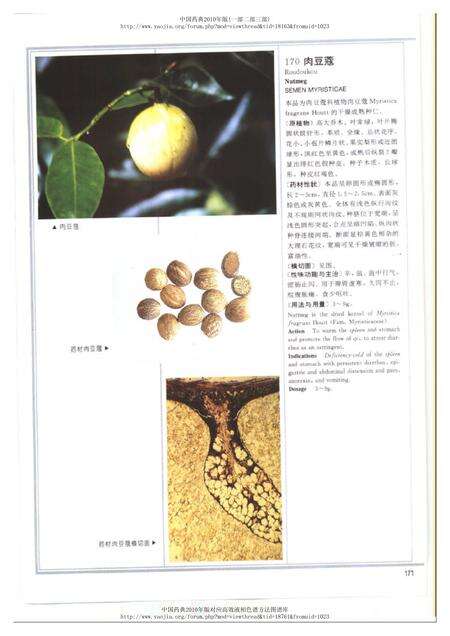 《中华人民共和国药典中药彩色图集_部分2》.pdf电子版_其他志预览图1
