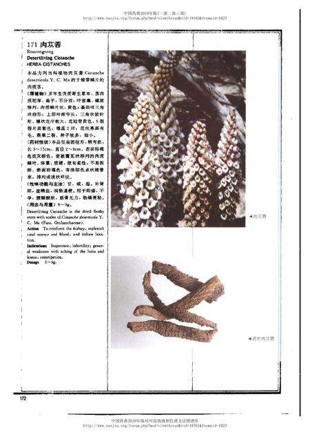 《中华人民共和国药典中药彩色图集_部分2》.pdf电子版_其他志预览图2