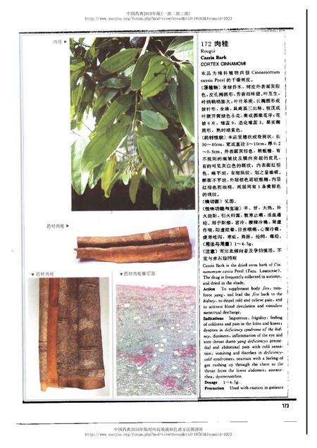 《中华人民共和国药典中药彩色图集_部分2》.pdf电子版_其他志预览图3