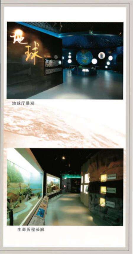 《博物馆 古生物化石》.pdf电子版_其他志预览图4