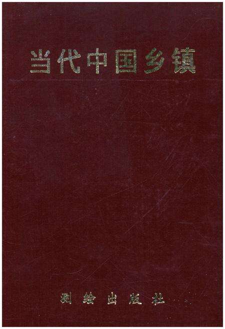 《当代中国乡镇》.pdf电子版_其他志缩略图