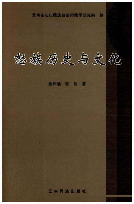 《怒族历史与文化》.pdf电子版_其他志缩略图