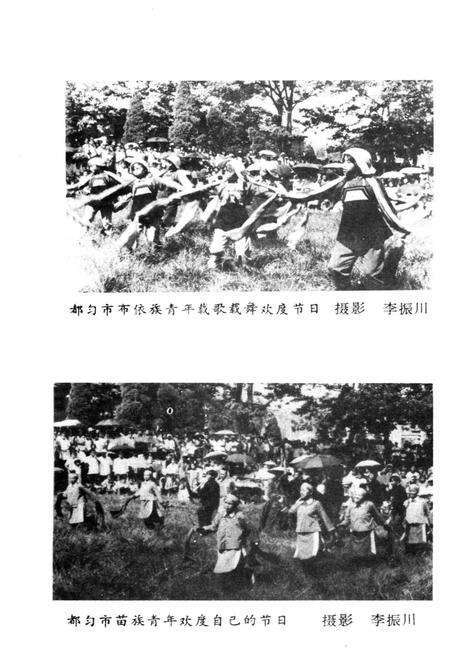 《黔南民族节日通览》.pdf电子版_其他志预览图2