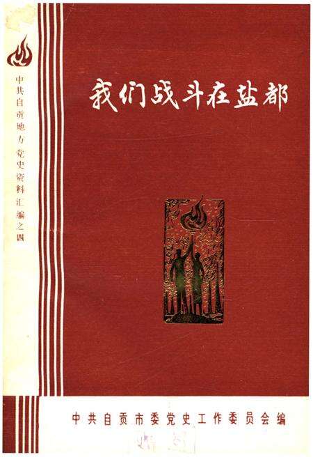 《我们战斗在盐都 下》.pdf电子版_其他志缩略图