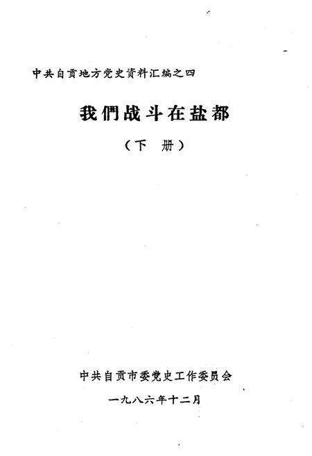 《我们战斗在盐都 下》.pdf电子版_其他志预览图1