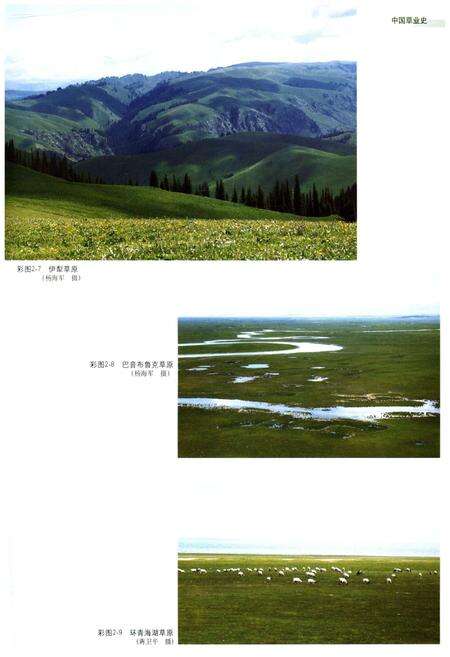 《中国草业史》.pdf电子版_其他志预览图5