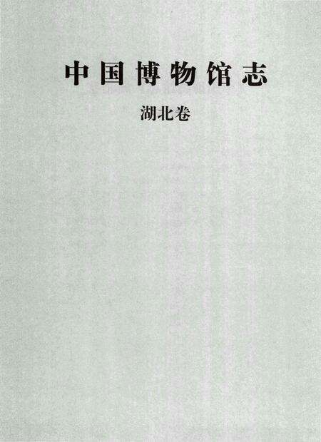 《中国博物馆志第5册湖北卷云南卷海南卷》.pdf电子版_其他志预览图4