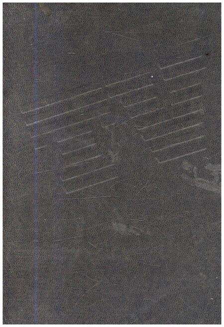 《中国电视艺术发展史》.pdf电子版_其他志缩略图