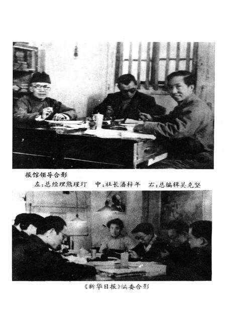 《新华日报纪事》.pdf电子版_其他志预览图5