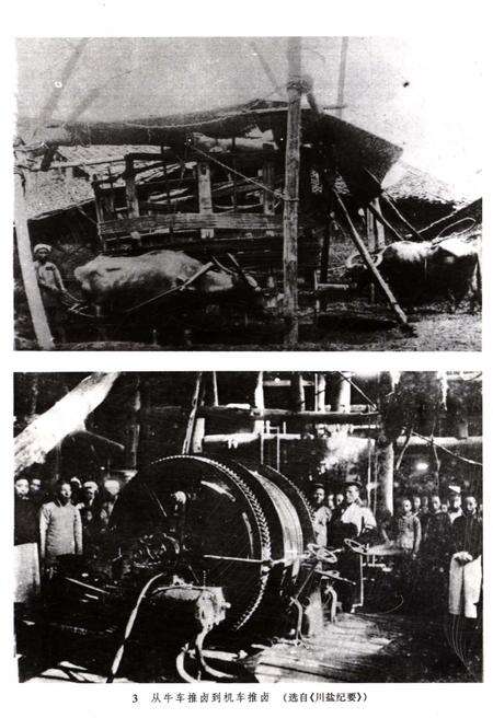 《中国盐业史 近代 当代编》.pdf电子版_其他志预览图5