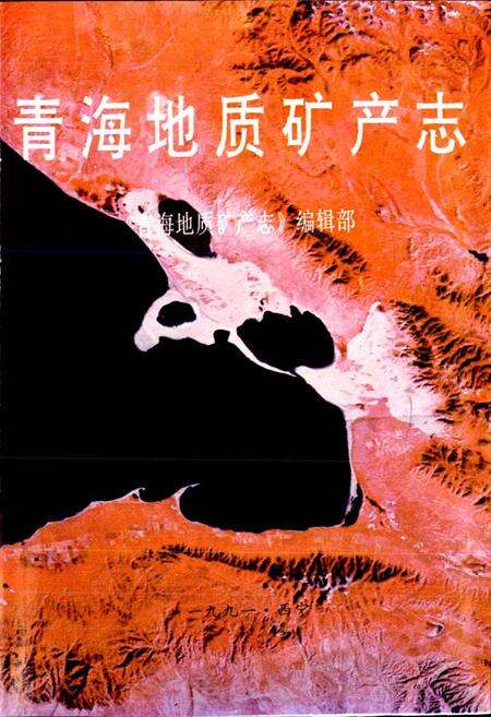 《青海地质矿产志》.pdf电子版_青海省志预览图2