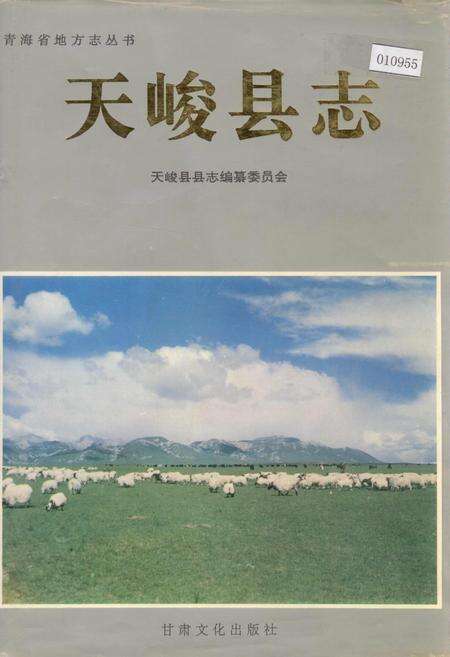 《天峻县志》.pdf电子版_青海省志缩略图