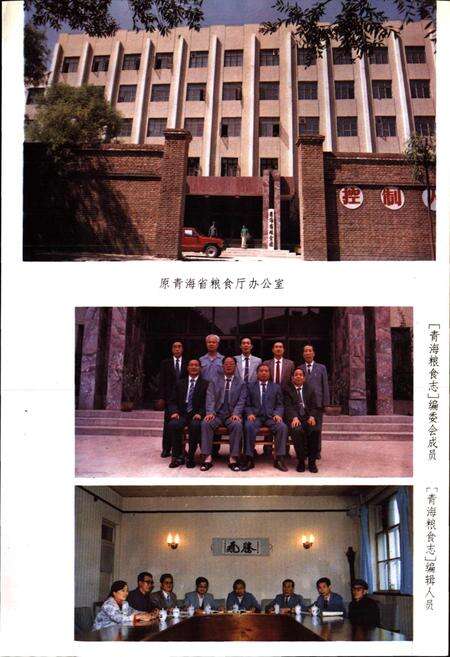 《青海粮食志》.pdf电子版_青海省志预览图3