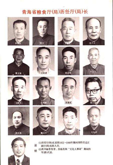 《青海粮食志》.pdf电子版_青海省志预览图4