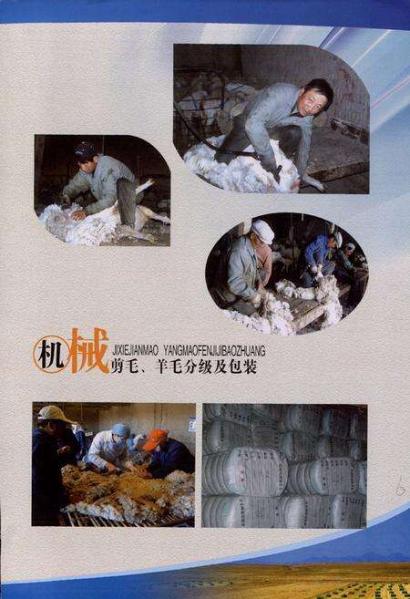 《青海省三角城种羊场志》.pdf电子版_青海省志预览图4