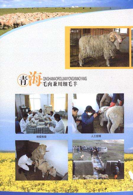 《青海省三角城种羊场志》.pdf电子版_青海省志预览图5