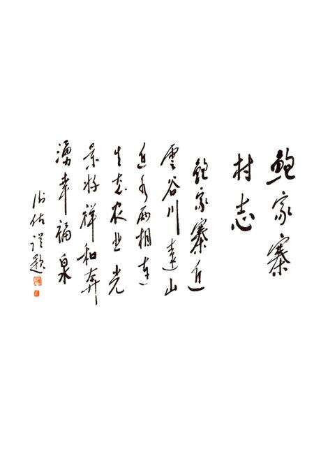 《鲍家寨村志》.pdf电子版_青海省志预览图2