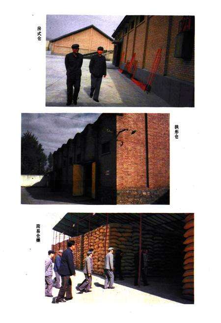 《乐都县粮食志》.pdf电子版_青海省志预览图3