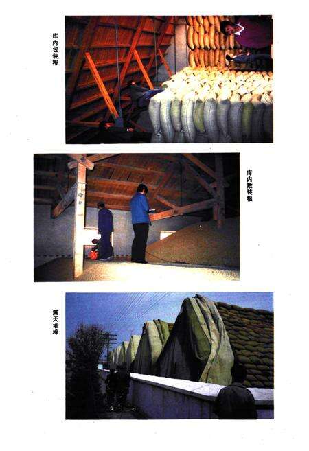 《乐都县粮食志》.pdf电子版_青海省志预览图4