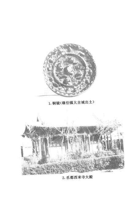 《乐都县文物志》.pdf电子版_青海省志预览图4