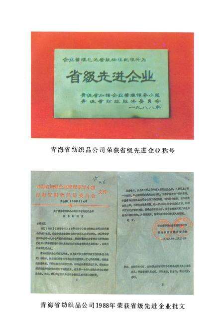 《青海省纺织品公司企业志》.pdf电子版_青海省志预览图1