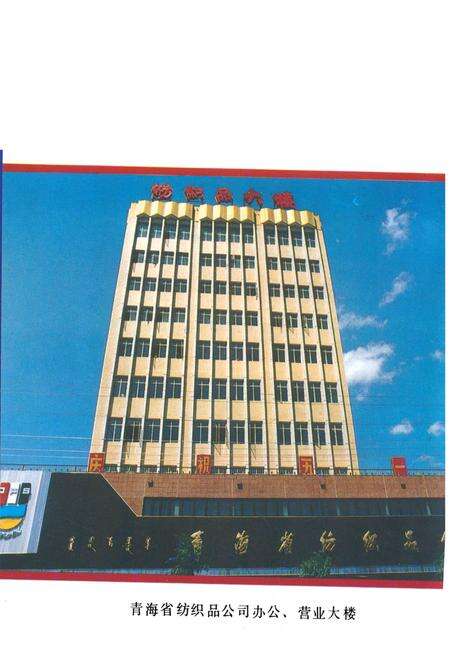 《青海省纺织品公司企业志》.pdf电子版_青海省志预览图2
