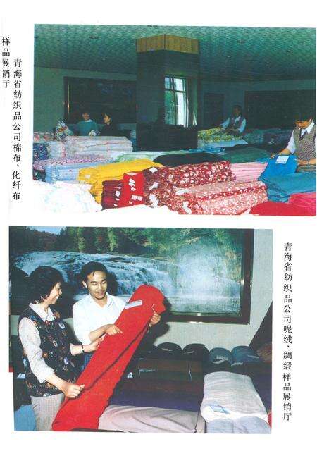 《青海省纺织品公司企业志》.pdf电子版_青海省志预览图3