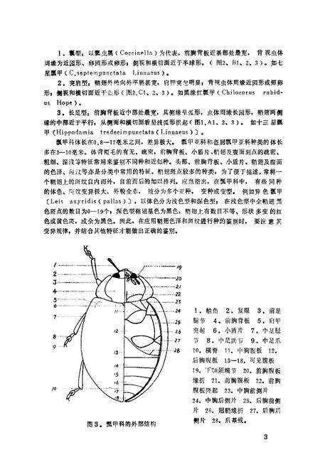 《青海经济昆虫图志·瓢甲科》.pdf电子版_青海省志预览图5