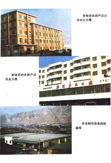 《青海省农副产品公司企业志(1962-1988)》.pdf电子版_青海省志预览图5