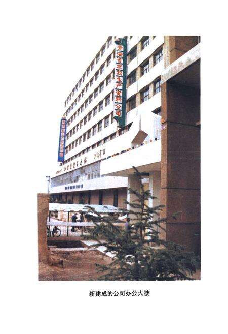 《青海省农牧生产资料公司企业志(1961-1988)》.pdf电子版_青海省志预览图2