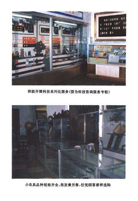 《青海省农牧生产资料公司企业志(1961-1988)》.pdf电子版_青海省志预览图5