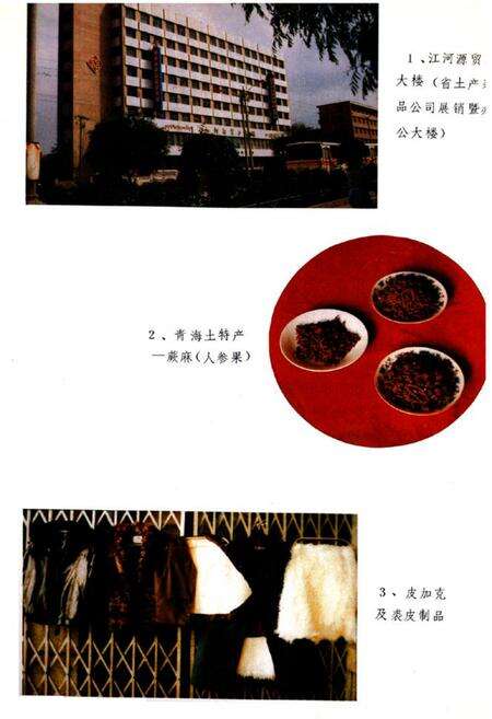 《青海省土产杂品公司企业志(1951-1985)》.pdf电子版_青海省志预览图3