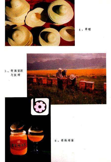 《青海省土产杂品公司企业志(1951-1985)》.pdf电子版_青海省志预览图4