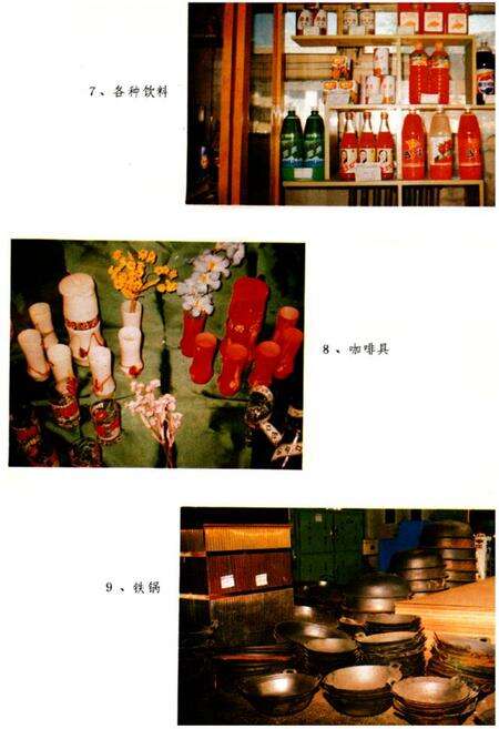 《青海省土产杂品公司企业志(1951-1985)》.pdf电子版_青海省志预览图5