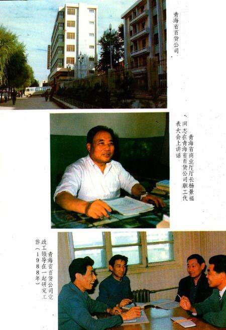《青海省百货公司企业志》.pdf电子版_青海省志预览图4