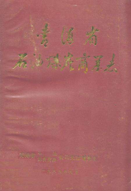 《青海省石油煤炭商业志》.pdf电子版_青海省志缩略图