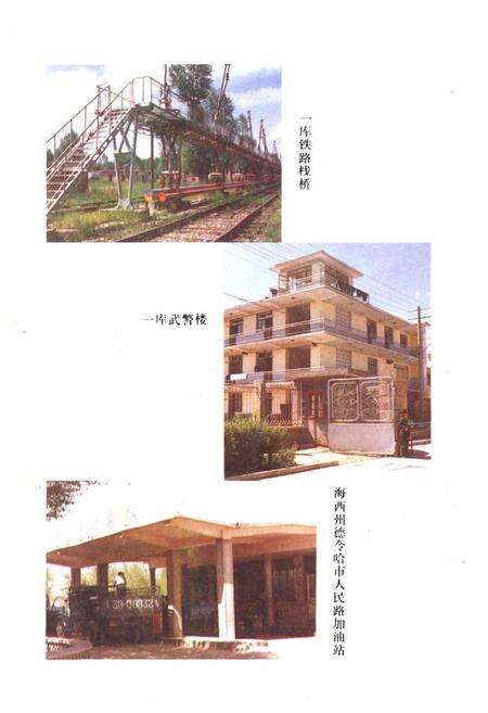 《青海省石油煤炭商业志》.pdf电子版_青海省志预览图3