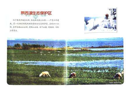 《《莱西市志(1988-2005)》》.pdf电子版_青海省志预览图5